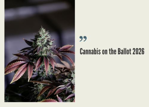 2026 Cannabis Reform Ballot (April 2026 Update)