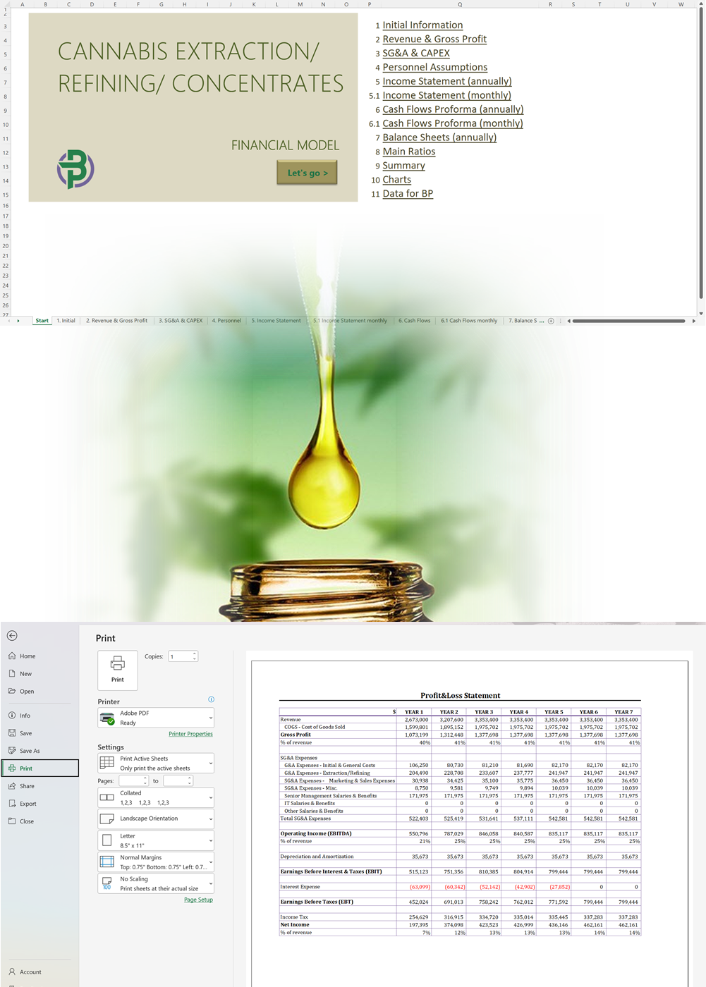 Cannabis Extraction/Concentrates Financial Model