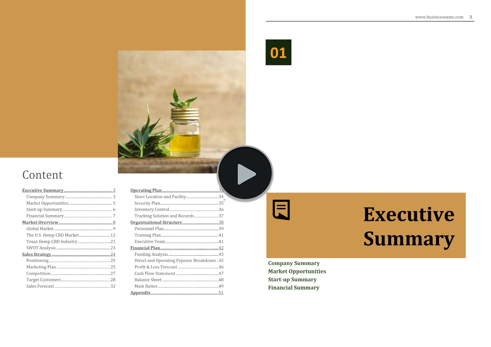 CBD Retail Business Plan