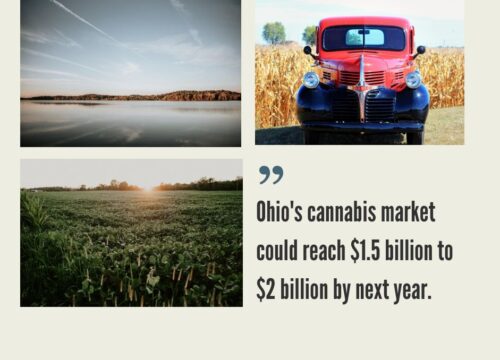 Ohio Cannabis Market