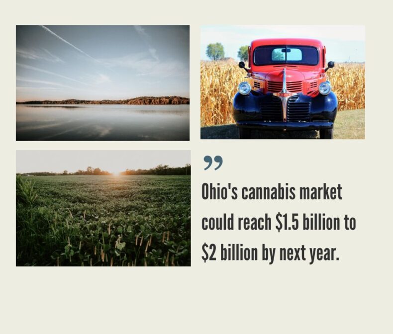 Ohio Cannabis Market
