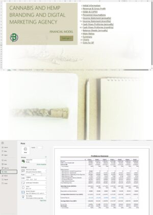 Cannabis and Hemp Branding and Digital Marketing Agency Financial Model